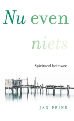 Nu even niets eBook