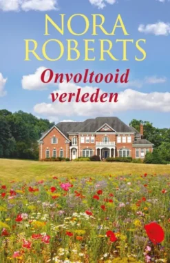 Onvoltooid verleden eBook