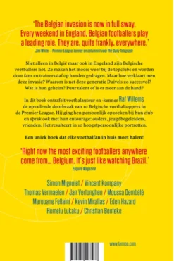 Onze Belgen in de Premier League eBook