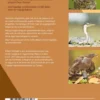 Onze natuur vogelgids eBook