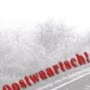 Oostwaartsch! eBook