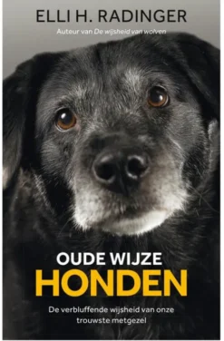 Oude wijze honden eBook