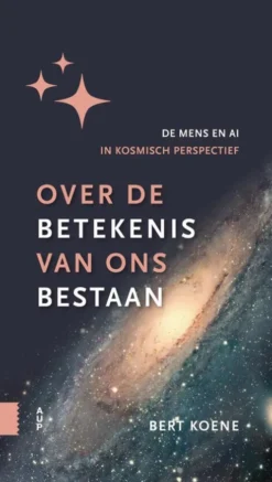 Over de betekenis van ons bestaan eBook