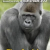 Photography: animal portraits in the ZOO eBook