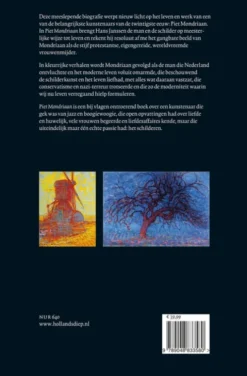Piet Mondriaan eBook