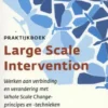 Praktijkboek large scale intervention eBook