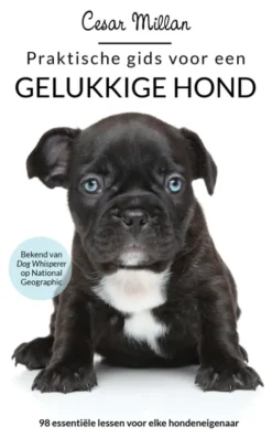 Praktische gids voor een gelukkige hond eBook