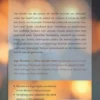 Priesterlijk pastoraat eBook