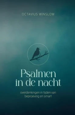 Psalmen in de nacht eBook