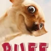 Puff eBook