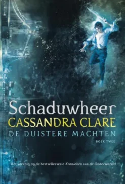 Schaduwheer eBook