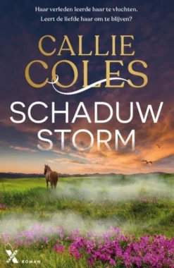 Schaduwstorm eBook