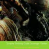 Scriptie Stichting Oude Groninger Kerken eBook