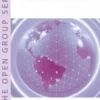 SOA Source Book eBook