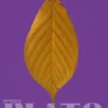 Sokrates, martelaar van de filosofie eBook