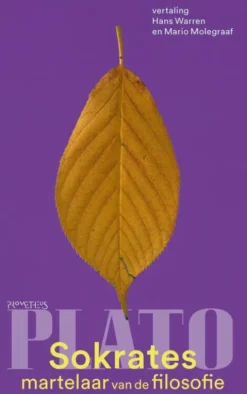 Sokrates, martelaar van de filosofie eBook
