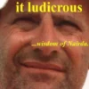 Some like it ludicrous eBook