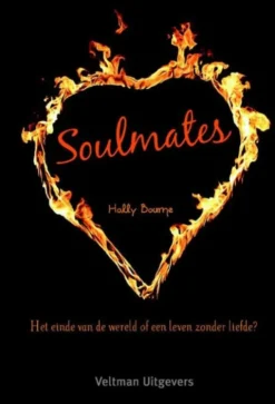 Soulmates eBook