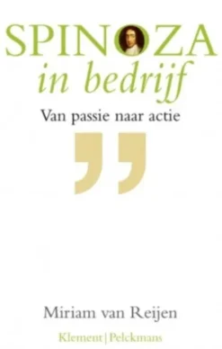 Spinoza in bedrijf eBook