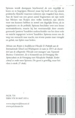 Spinoza in bedrijf eBook