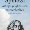 Spinoza uit zijn gelijkenissen en voorbeelden eBook