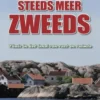 Steeds meer Zweeds eBook