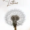 Stervenskunst bij Luther eBook