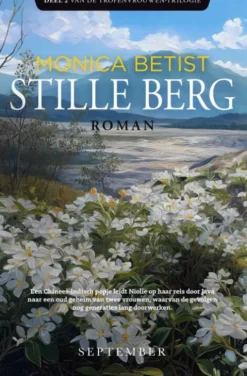 Stille berg eBook