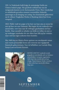 Stille berg eBook