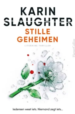 Stille geheimen eBook