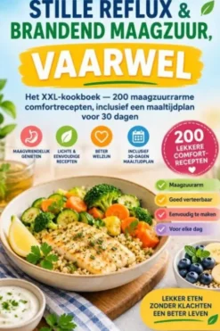 Stille reflux & brandend maagzuur, vaarwel eBook