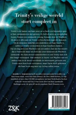 Storm and Fury eBook