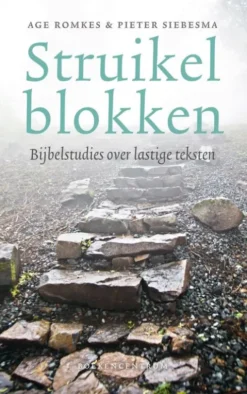 Struikelblokken eBook