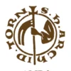 Summa (Quaestiones ordinariae) art. LVI - LIX eBook