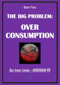 The Big Problem: Overconsumption eBook