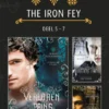 The Iron Fey 5 - 7 - De verloren prins - De duistere fae - De IJzerstrijder eBook