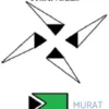 The Pyramids and Triangles eBook
