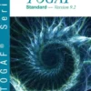 The TOGAF ® Standard-Version 9.2 eBook