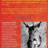 Tony, de zieke pony eBook