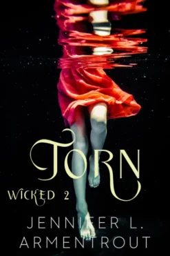 Torn eBook