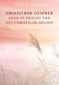 Troostrijk gesprek over de kracht van het christelijk geloof tot inrichting van een christelijk leven eBook