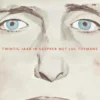 Tuymans volgens Tuymans eBook