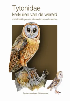 Tytonidae - Kerkuilen van de wereld eBook