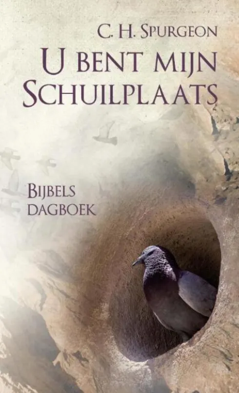 U bent mijn schuilplaats eBook