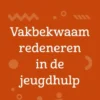 Vakbekwaam redeneren in de jeugdhulp eBook