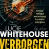 Verborgen motief eBook