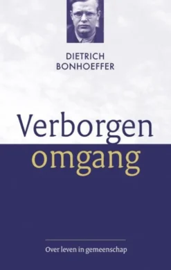 Verborgen omgang eBook