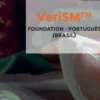 VeriSM ™ - Foundation - Português (Brasil) eBook