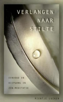 Verlangen naar stilte eBook