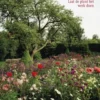 Verwilderen eBook